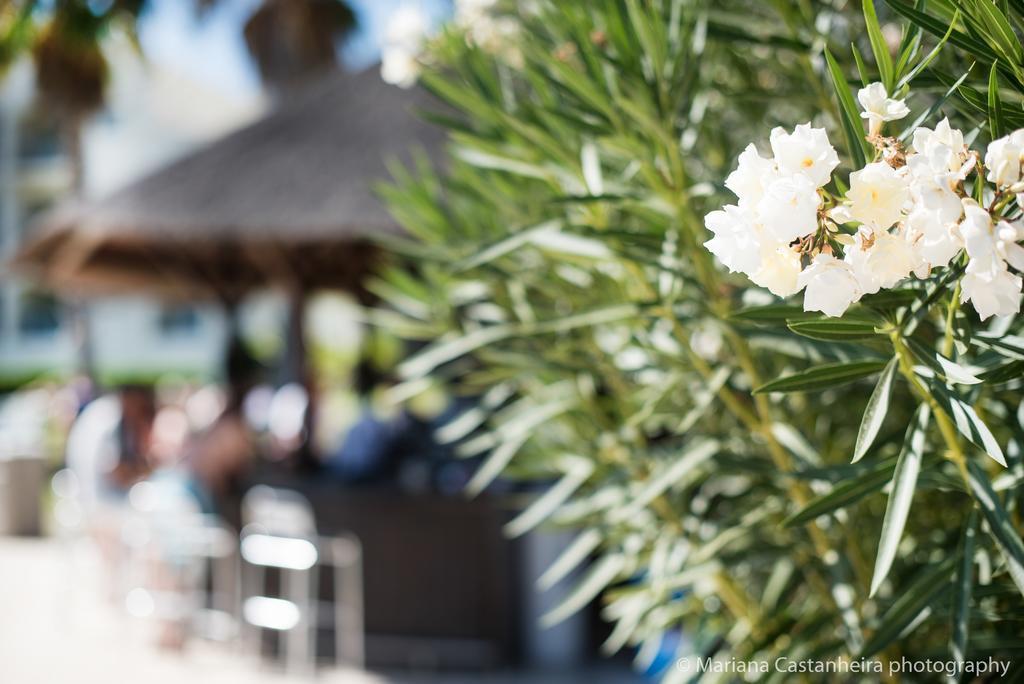 Yellow Alvor Garden Экстерьер фото